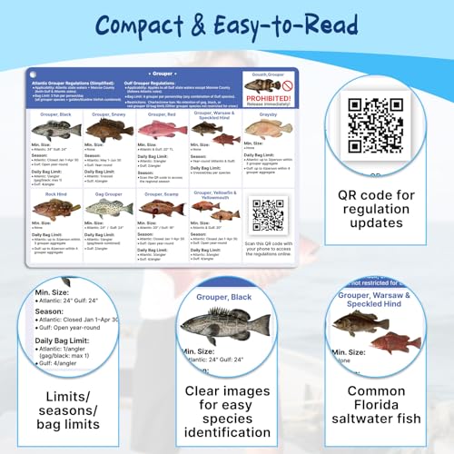 Florida Saltwater Fish & Shark Identification Set - Waterproof Guide Cards