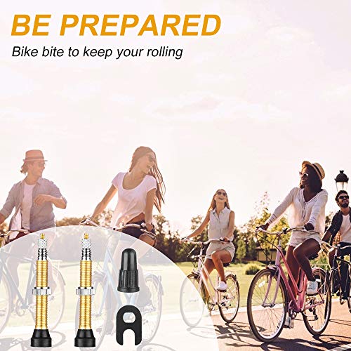 Brass Tubeless Valve Stems with Valve Core Remover Tool - Gold, 40mm