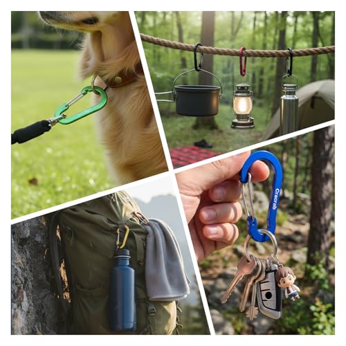 12-Piece Carabiner & O-Ring Clip Set - Lightweight Aluminum Organizer