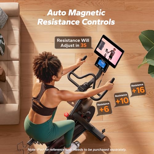 Magnetic Exercise Bike for Home Gym - Low Noise, 350 lbs Capacity - Red