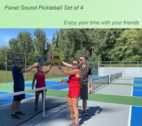 USAPA Approved Pickleball Paddles Set of 4 with 4 Balls & Case - Cool Colors