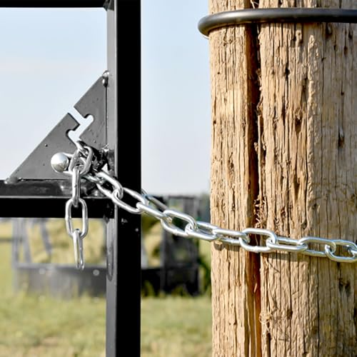 Heavy Duty Stainless Steel Chain with 2 Carabiners - 20" Length