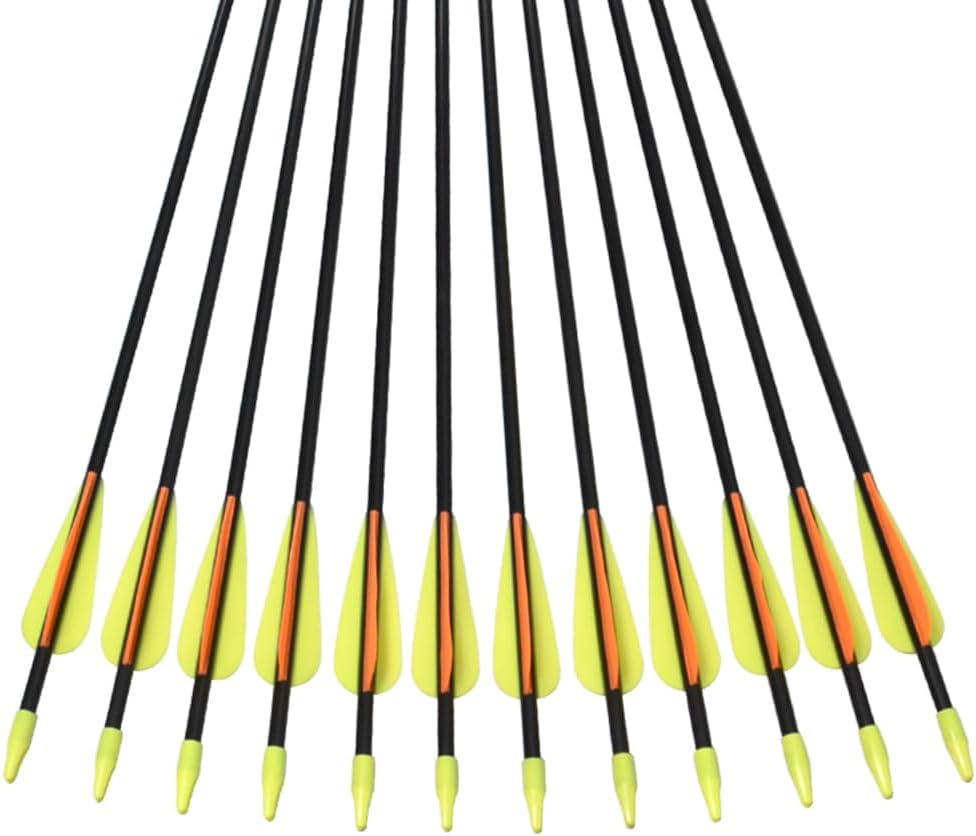 Practice Fiberglass Arrows - Archery Target Shooting for Youth & Beginners | 24/26/28/30 Inch, 6/12 Pack