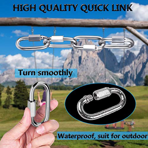 M3.5 Stainless Steel D Shape Locking Carabiner Keychain - 6 Pack