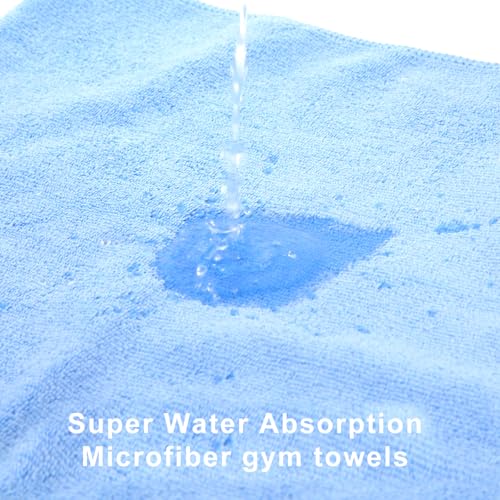 Microfiber Gym Towel Set - 3 Pack Soft Quick-Drying Towels - Grey, Blue, Purple