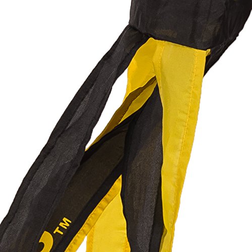 Iowa Hawkeyes 40 Inch Windsock with Team Colored Streamers