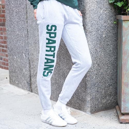 Soft Jogger Sweatpants - Florida State Seminoles - Medium - Heather Gray