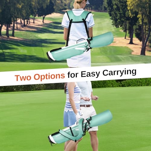 Lightweight Golf Stand Bag - 4-Way Dividers, Holds 10 Clubs, Mint