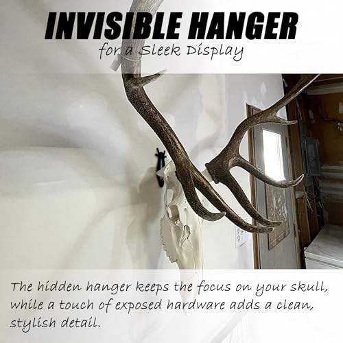Heavy Duty European Mount Skull Hanger Kit - 3 Pcs