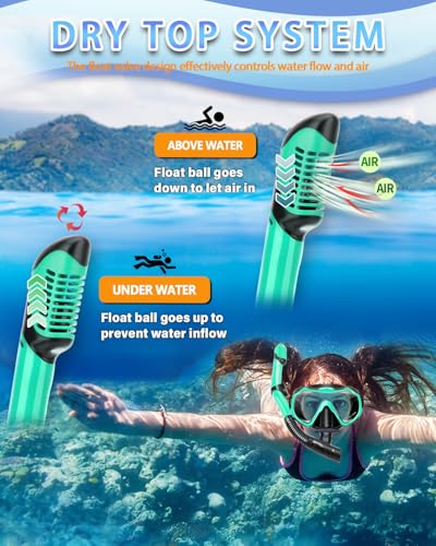 Adult Snorkeling Gear Set - Panoramic Anti-Fog Mask & Dry Snorkel - Malachite Green