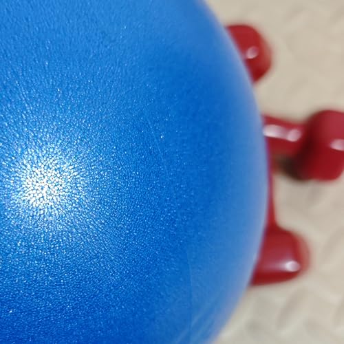 9-Inch Mini Exercise Ball - Non-Slip Yoga & Pilates Ball for Core - Blue
