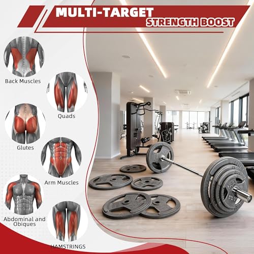 Fitvids Barbell 2-Inch Olympic Cast Iron Plate Weight Set, 85 Pounds, Grey