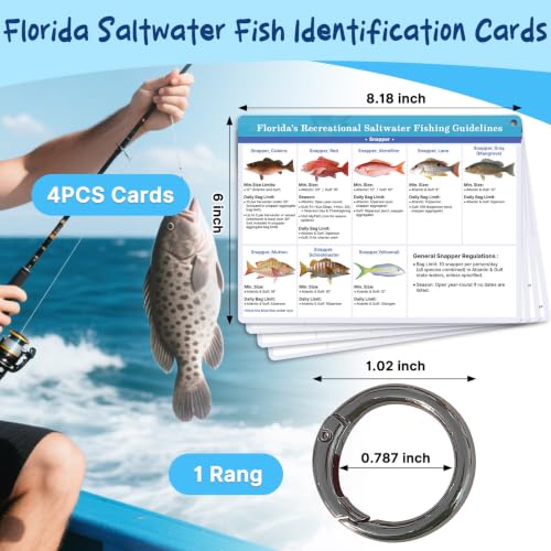 Florida Saltwater Fish & Shark Identification Set - Waterproof Guide Cards