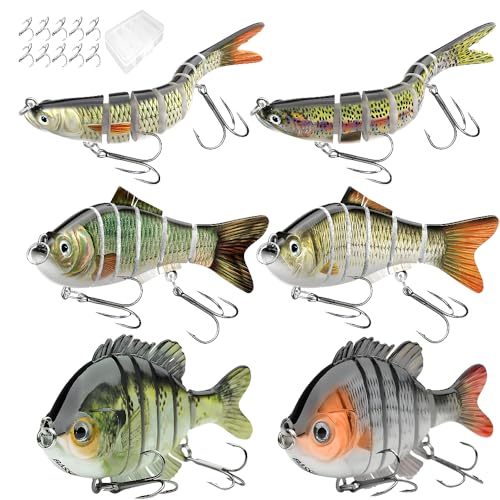 6 Pcs Fishing Lure Set with Hard Plastic Tackle Box for Saltwater & Freshwater Bass Trout