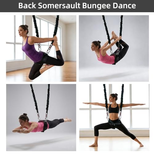 Bungee Inversion Set for Aerial Training - 1377 lbs MBL