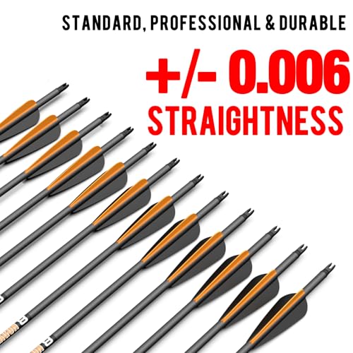 Olympic-Grade Pure Carbon Hunting Arrows - 12 Pack, 10 Spine