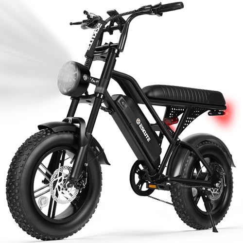 Electric Fat Bike for Adults - 1500W Motor, 60 Miles Range, Black