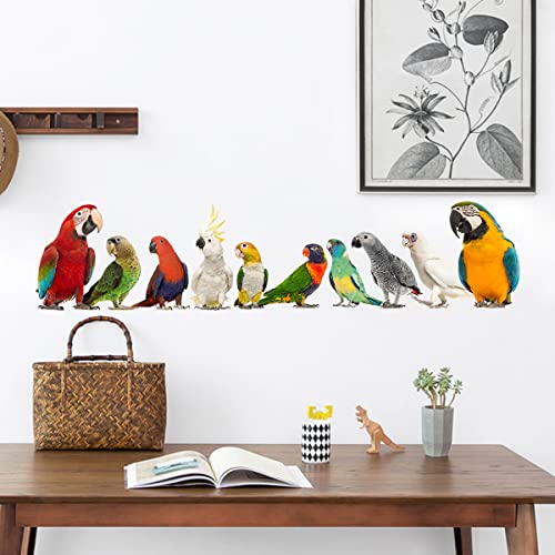 Removable 3D Exotic Pet Birds Wall Stickers, Parakeet Macaw Parrot Wall Decals, Peel and Stick Living Room Kids Bedroom Office Wall Decor