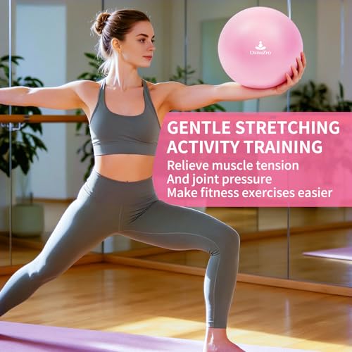 9-Inch Pink Pilates Yoga Ball with Pump for Core Training