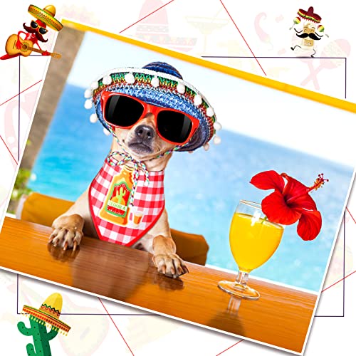 Cinco De Mayo Dog Bandanas - 3 Pack Taco Cactus Design