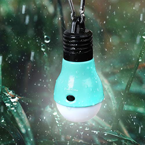 EverBrite 3-Pack Camping Lights - 3 Lighting Modes, Portable LED Bulbs Ideal for Kids¡¯ Adventure Activities, Backpacking, Camping, Picnic, Emergency and More, 3 x AAA Batteries Included