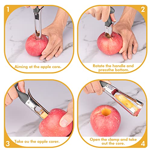 Apple Corer Tool - Ultra-Sharp Stainless Steel - Gray