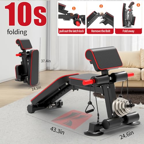 Adjustable Weight Bench for Home Gym - Black, 1050lbs Capacity