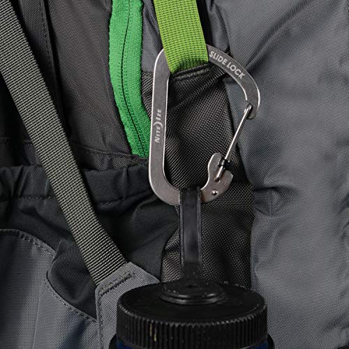 Locking Carabiner Clip - Stainless Steel, 1-3/32 in., Size #2