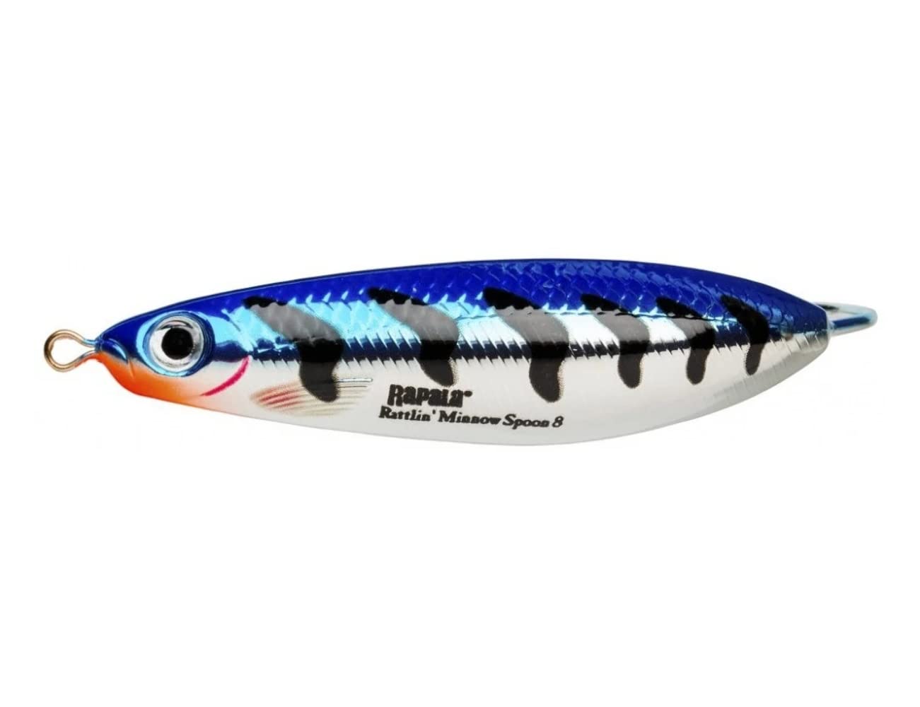 Rapala Rattlin' Minnow Spoon-Loose Lure - Freshwater Fishing Equipment - Variable Swimming Depth - Size 8 cm/16 g - Made in Estonia Metallic Blue Tiger Adult Unisex, Standard
