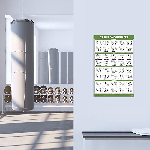 Cable Machine Workout Poster - Laminated Exercise Chart, 18" x 24"
