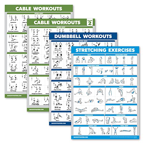 Cable Machine Workout Posters Set - Laminated, 18" x 24"