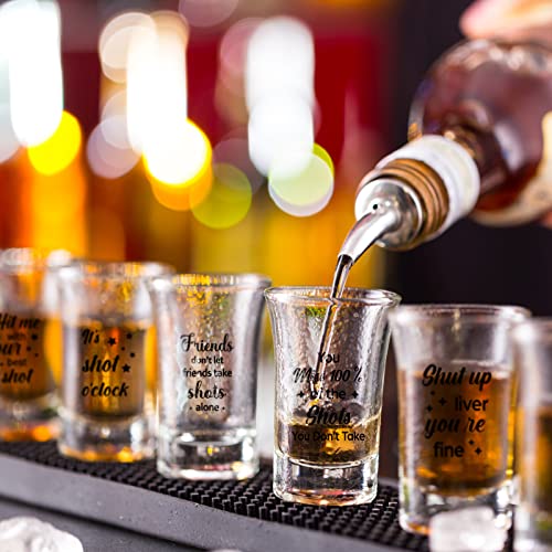 Skyley 24 Pack Funny Acrylic Shot Glasses for Parties, Reusable and Durable
