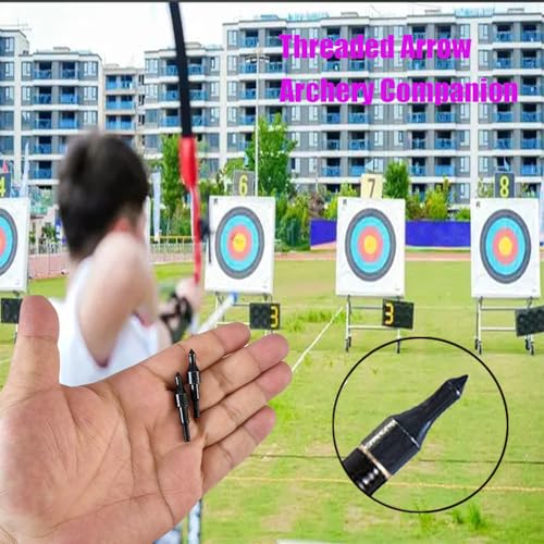 24 Black Screw-in Archery Field Points for Target Shooting, 100 Grain