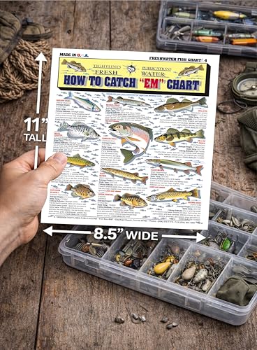 Waterproof Freshwater Fish Identification Chart - Quick Reference Guide for Anglers