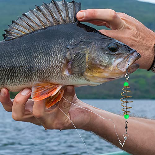 12PCS Luminous Carp Fishing Feeder Bait Cage Set