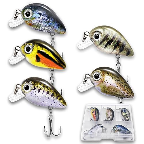 Assorted 5PCS Micro Crankbait Fishing Lures Set with 3D Eyes