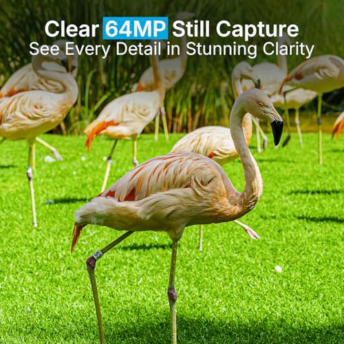 64MP Trail Camera with No-Glow Night Vision - 1 Pack