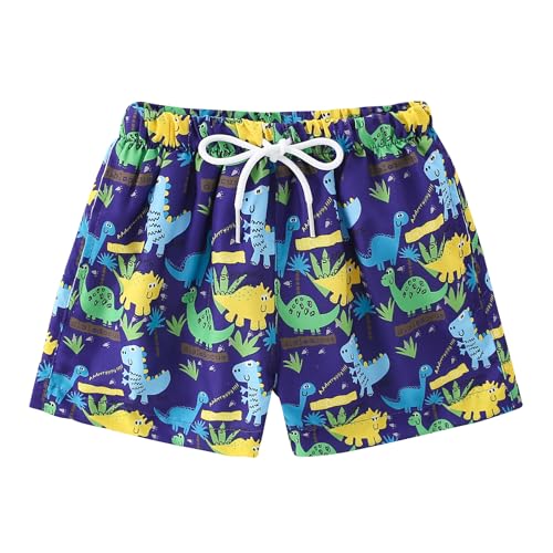 Boys Swim Trunks - Toddler Broad Swim Shorts UPF50+ - Dinosaurs B / 3-4T