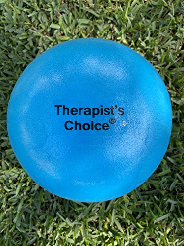 Mini Exercise Ball 23cm (9" Diameter) for Core Strengthening