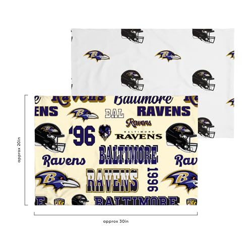 Baltimore Ravens Bed in a Bag Set - Twin Comforter & Sheets