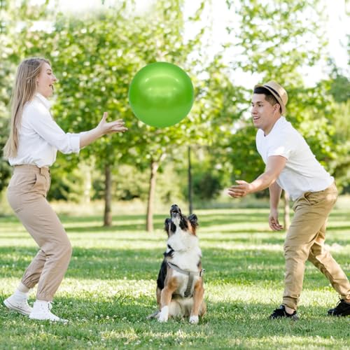 Green 6-Inch Inflatable Bouncy Balls Set of 6 for Kids Indoor & Outdoor Play