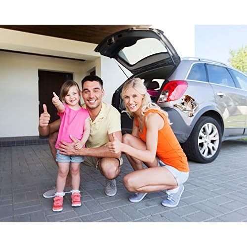 Winston & Bear 3D Reaching Beagle Decals - Dog Stickers for Wall, Car, Fridge, Toilet and More - Retail Packaged - 2 Pack