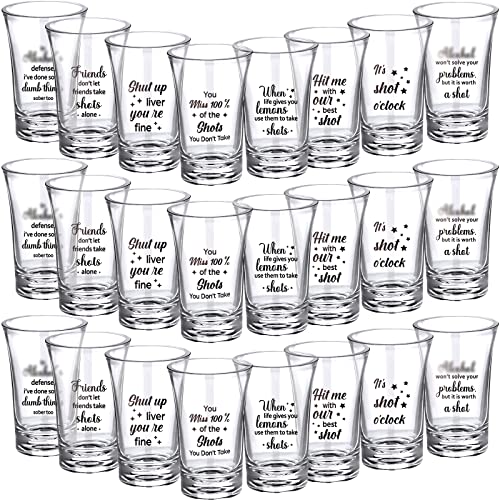 Skyley 24 Pack Funny Acrylic Shot Glasses for Parties, Reusable and Durable
