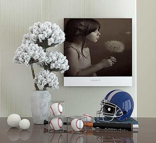 UV Protected Acrylic Baseball Display Cube - 3.15 Inch Clear Case - 1 Pack
