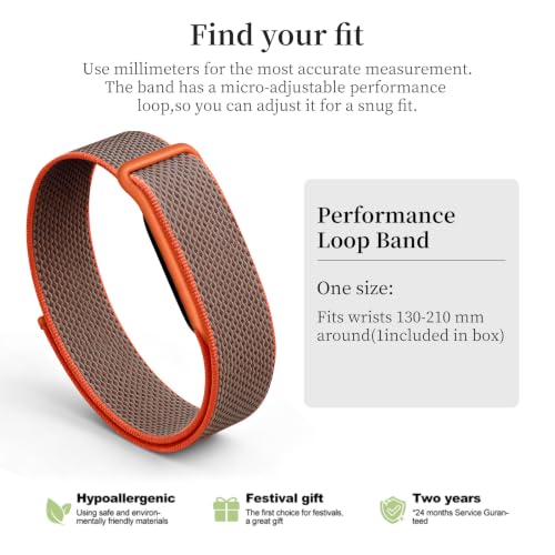 Nylon Sport Band for Fitbit Air - Soft Breathable Wristband, Rye Color