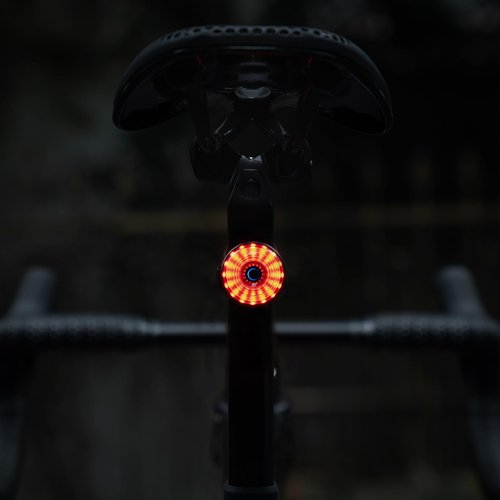 ROCKBROS Bike Tail Light Smart Brake Sensing Rear Bike Light,Auto On/Off, Waterproof,Type C USB Rechargeable，Black