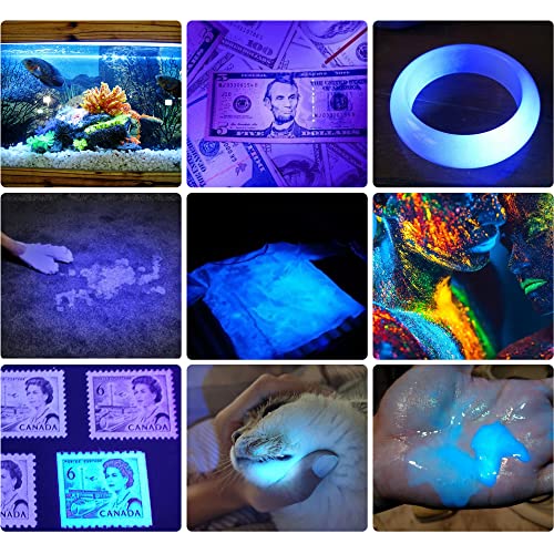 DARKBEAM UV 365nm and 395nm Light Wood's lamp Blacklight Ultraviolet Flashlight LED Portable Mini Handheld Torch, Detector for Dog Urine Pet Stains Anti-counterfeiting Identification, Resin Curing