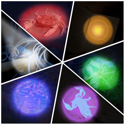Ultra Bright 6-Color Keychain Flashlight Set - Multicolor Lights