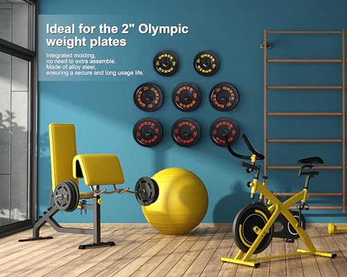 Wall Mounted Weight Plate Holder - 4 Pack for 2-Inch Plates