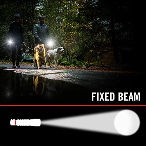 Coast ZX20B Dual Purpose Rechargeable Booster Pack, Power Bank and 200 Lumen LED Flashlight, Safety Signal for RL20R. RL20RB, RL22R, RL27R